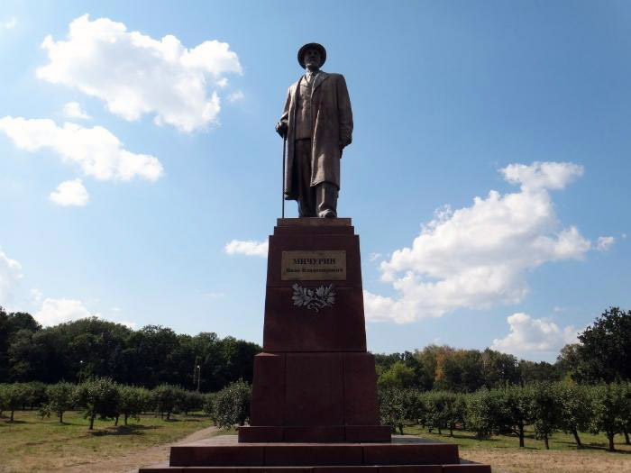 Памятник Мичурину