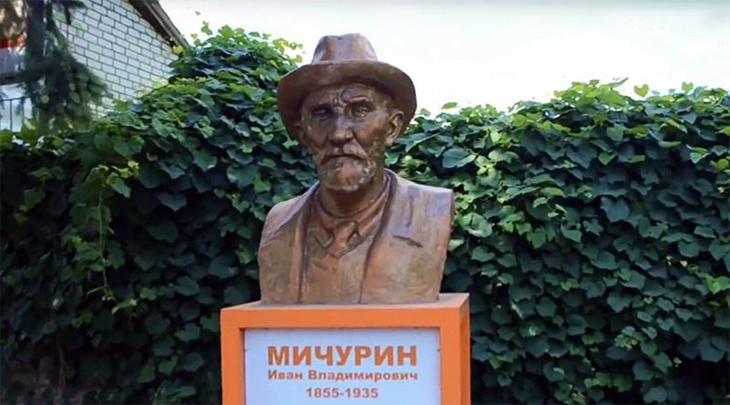 Бюст Мичурина