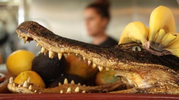 Экзотические блюда китайской кухни