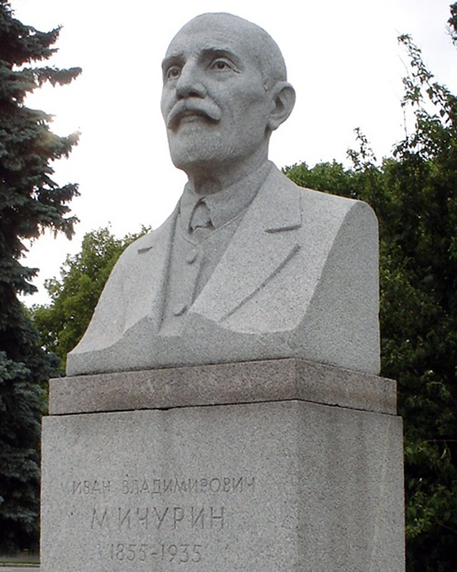 Бюст Ивана Владимировича Мичурина