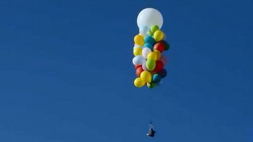 Воздушные шарики и Том Винни Пух Морган