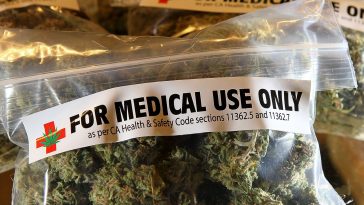 Вредно ли курить траву