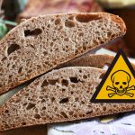 15 фактов о термофильных дрожжах