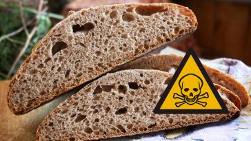 15 фактов о термофильных дрожжах