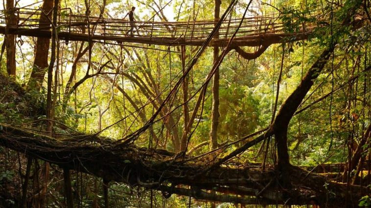 Интересное место Мегхалая