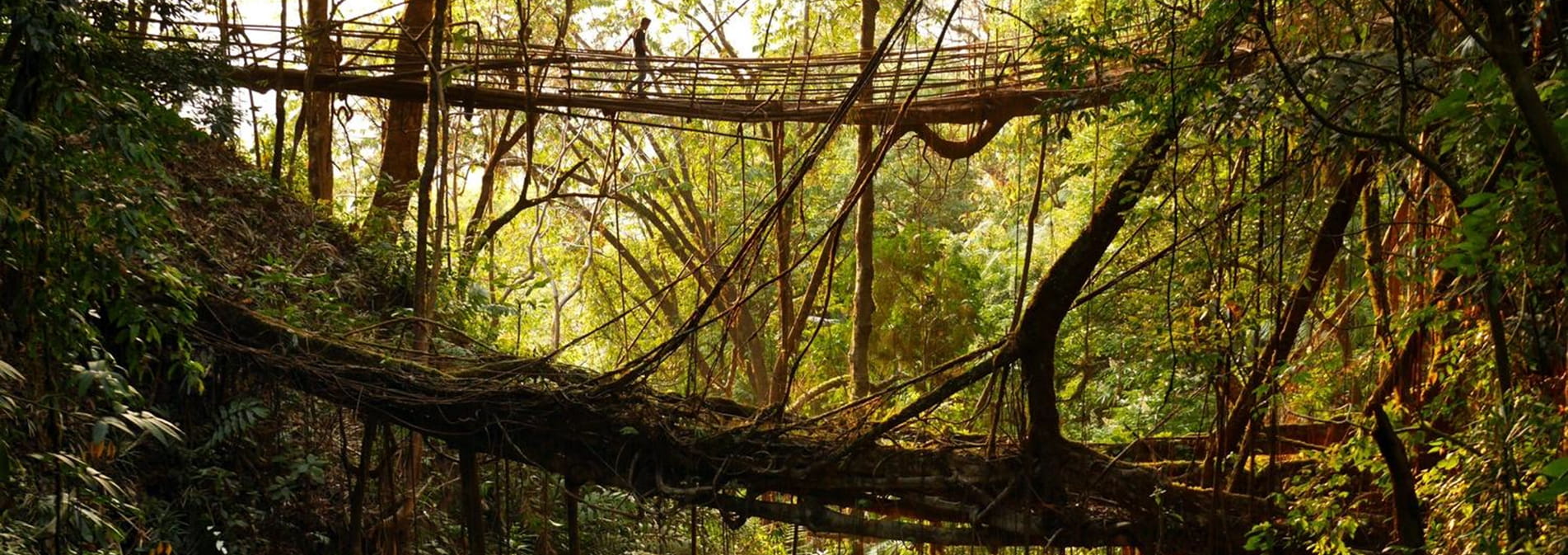 Интересное место Мегхалая