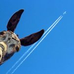 Интересные и смешные факты