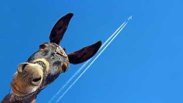 Интересные и смешные факты