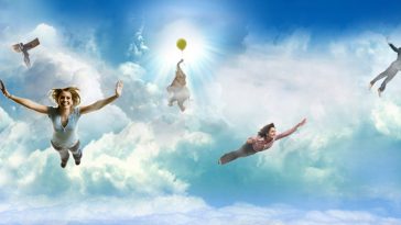 Интересные факты о сне