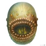 Интересные и смешные факты