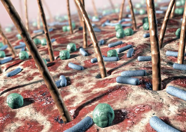 Интересный факт о коже