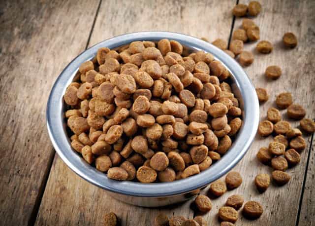 Интересный факт о кошачьем корме