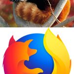 Интересные и смешные факты. Факт о Мозилле