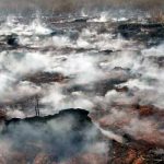 Интересный факт о топливе