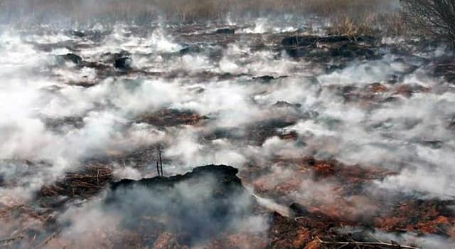 Интересный факт о топливе