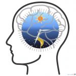 Интересные факты о сне: циркадный ритм